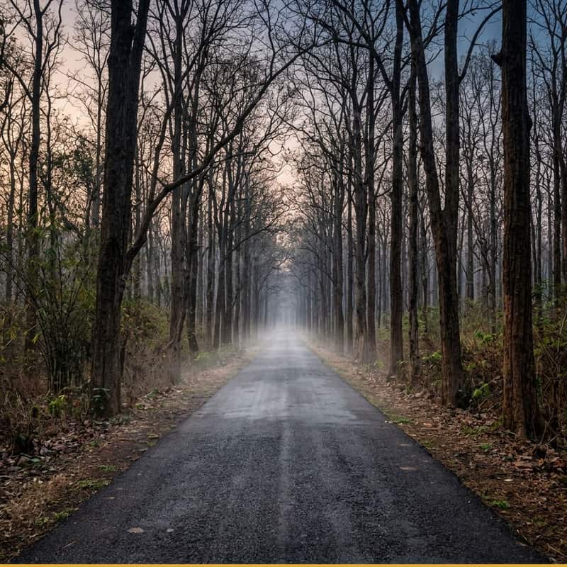 Mysore to Kabini River & Nagarhole Safari tempo traveller rental — 80 km via Mysore-Kabini road via Hunsur & Kutta